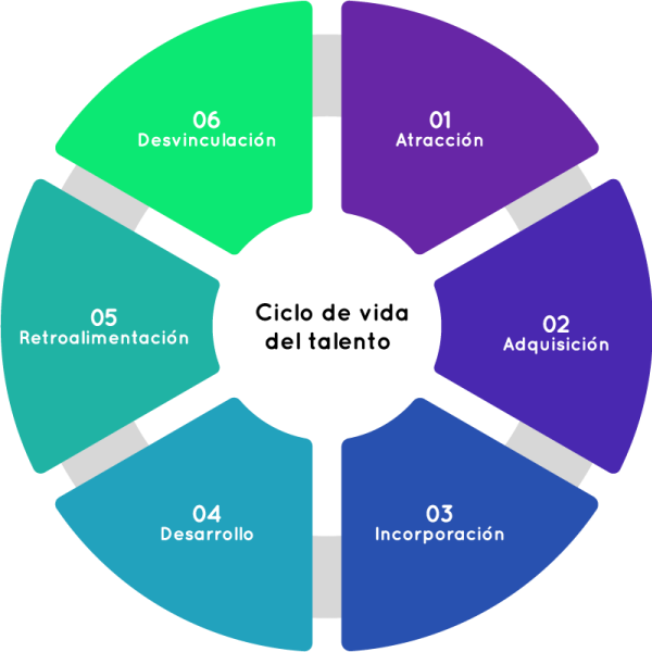 Armstrong - Soluciones Talento - Ciclo de Vida